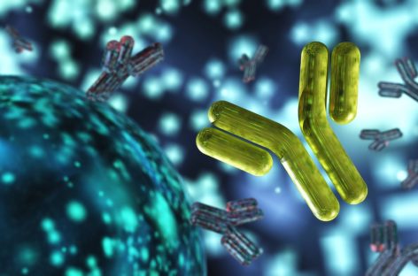 Virusurile bacteriofage modificate genetic, ultima armă împotiva bacteriilor rezistente la antibiotice