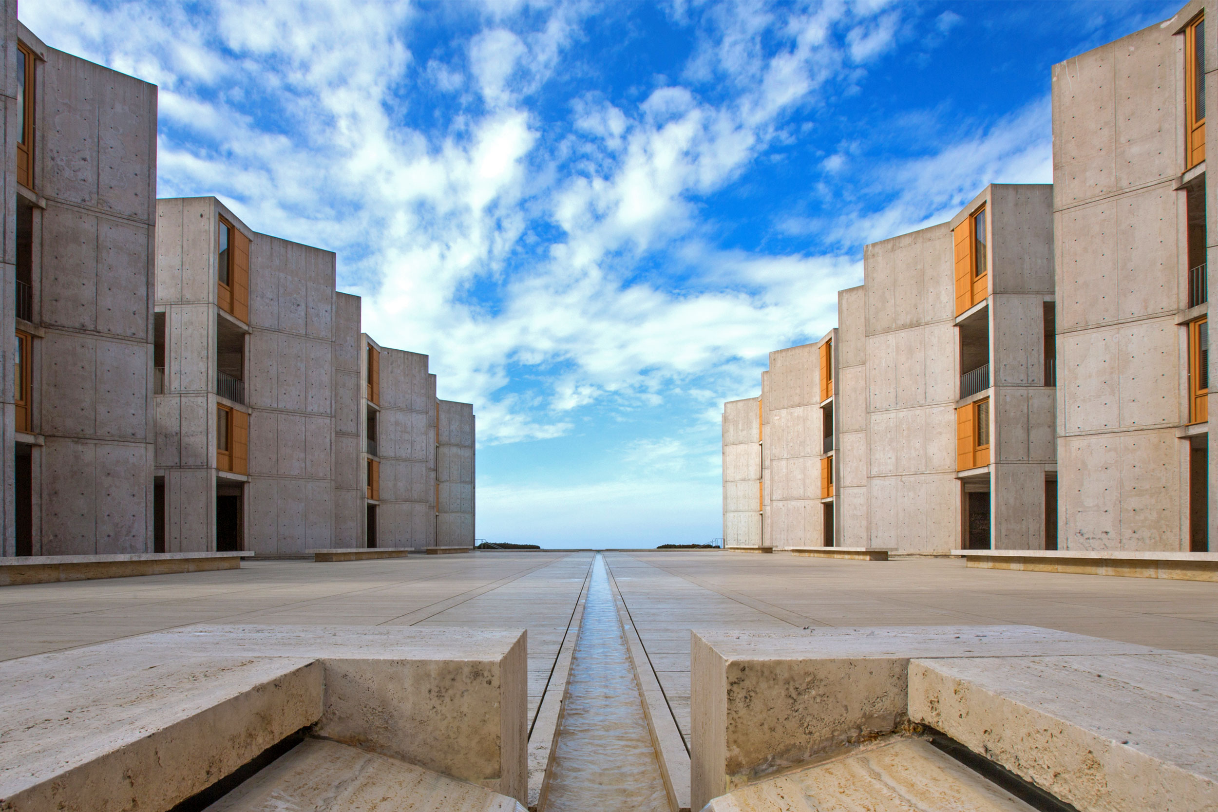 Cercetătorii de la Salk Institute au descoperit o metodă de vindecare rapidă a rănilor prin "reprogramarea" celulelor din piele