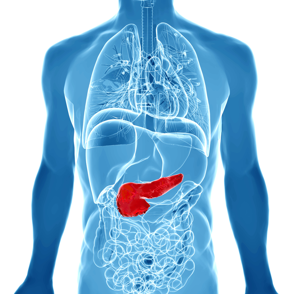 Modele animale eficiente de cancer pancreatic, create de cercetători japonezi