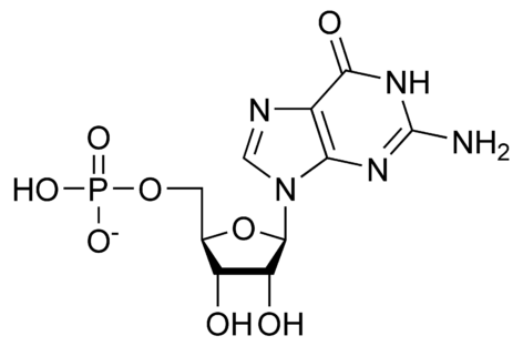 Oligonucleotide antisens au suprimat în condiţii de siguranţă mutaţiile genei SLA într-un studiu clinic pilot