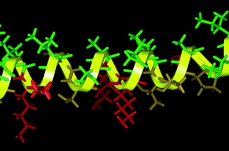 Superantibioticele obținute prin sinteza chimică sunt eficiente împotriva bacteriilor rezistente la medicamente