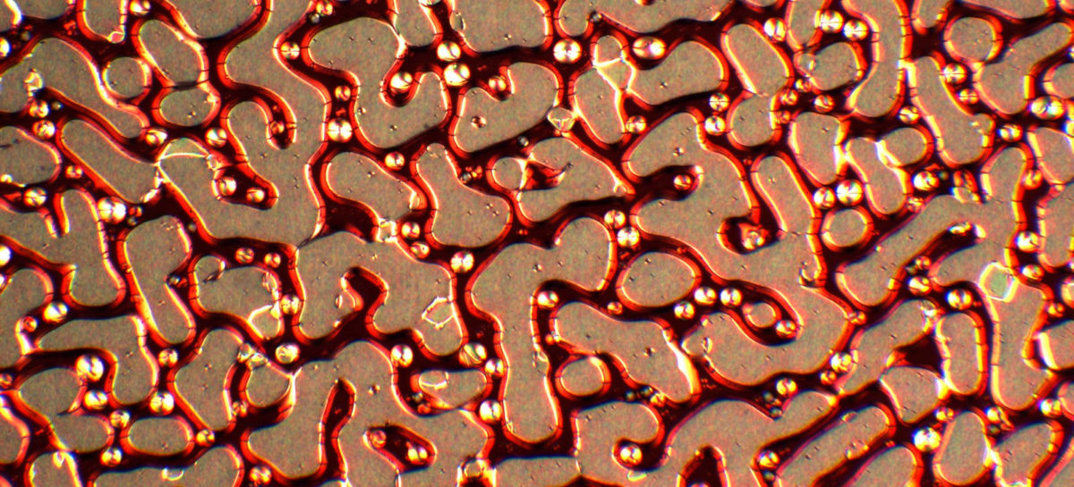 aur nanoparticule O echipă de cercetători din Texas testează nanoparticule de aur pentru a distruge cancerul de prostată