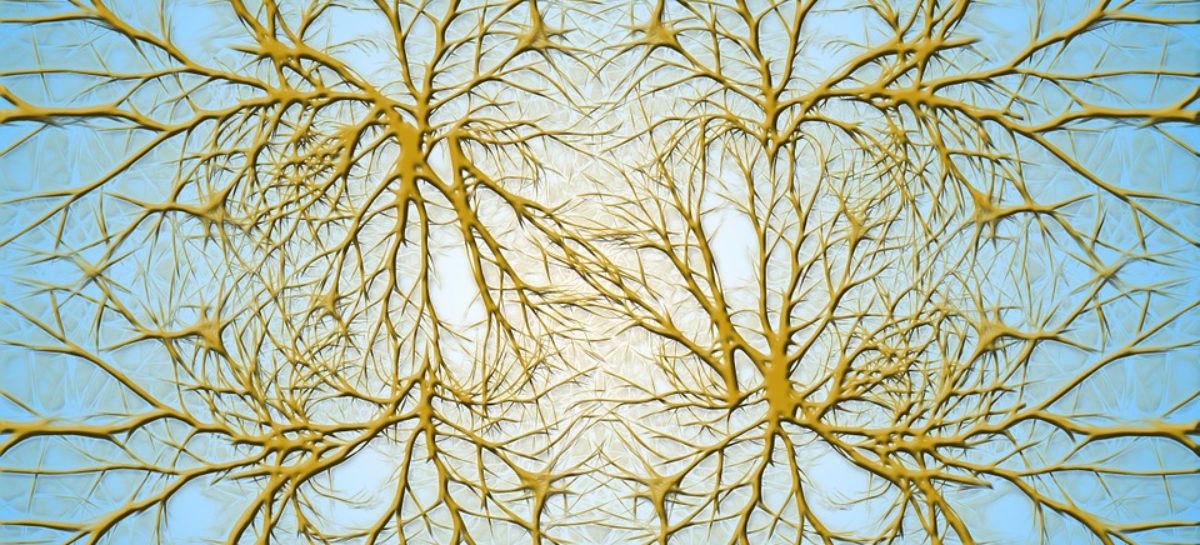 Exosomii pot restaura sănătatea celulelor din creier afectate de boli de neurodezvoltare, susțin cercetătorii americani