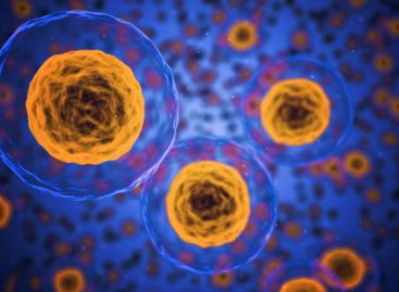 Complex enzimatic care poate opri celulele să îmbătrânească, identificat de cercetători