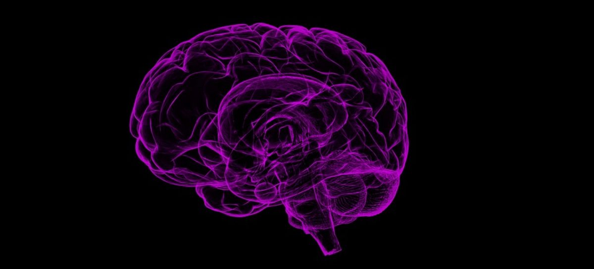 Creier Bilirubina protejează celulele cerebrale împotriva daunelor cauzate de stresul oxidativ