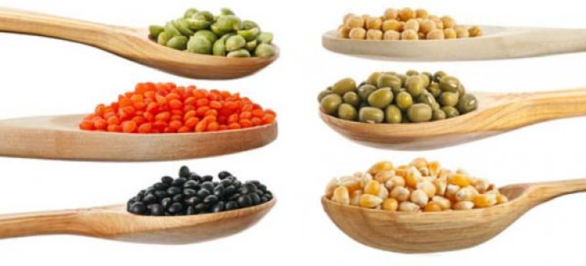 legume fibre Consumul frecvent de proteine vegetale, asociat cu un risc mai mic de deces