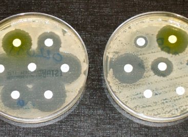 Medicamentul Ticagrelor, folosit pentru probleme cardiace, ucide bacteriile rezistente la medicamente