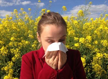 Studiu: O proteină naturală poate vindeca alergiile și astmul