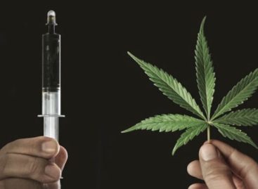 România ar putea introduce în practica medicală un medicament cu canabidiol până la finalul acestui an