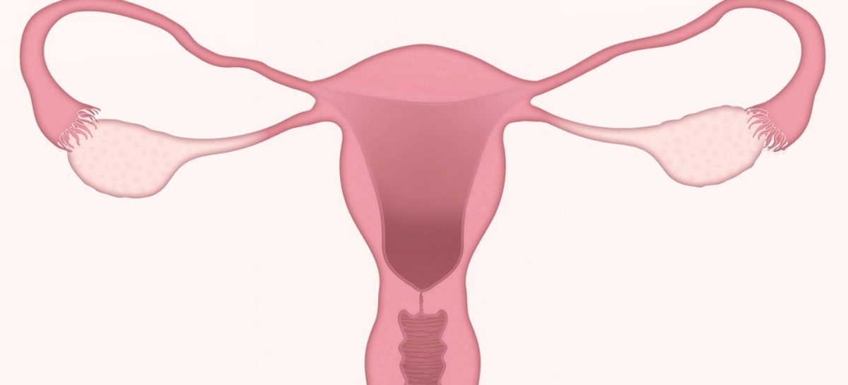 histerosonografia Histerosonografia, metodă modernă de diagnosticare a infertilităţii