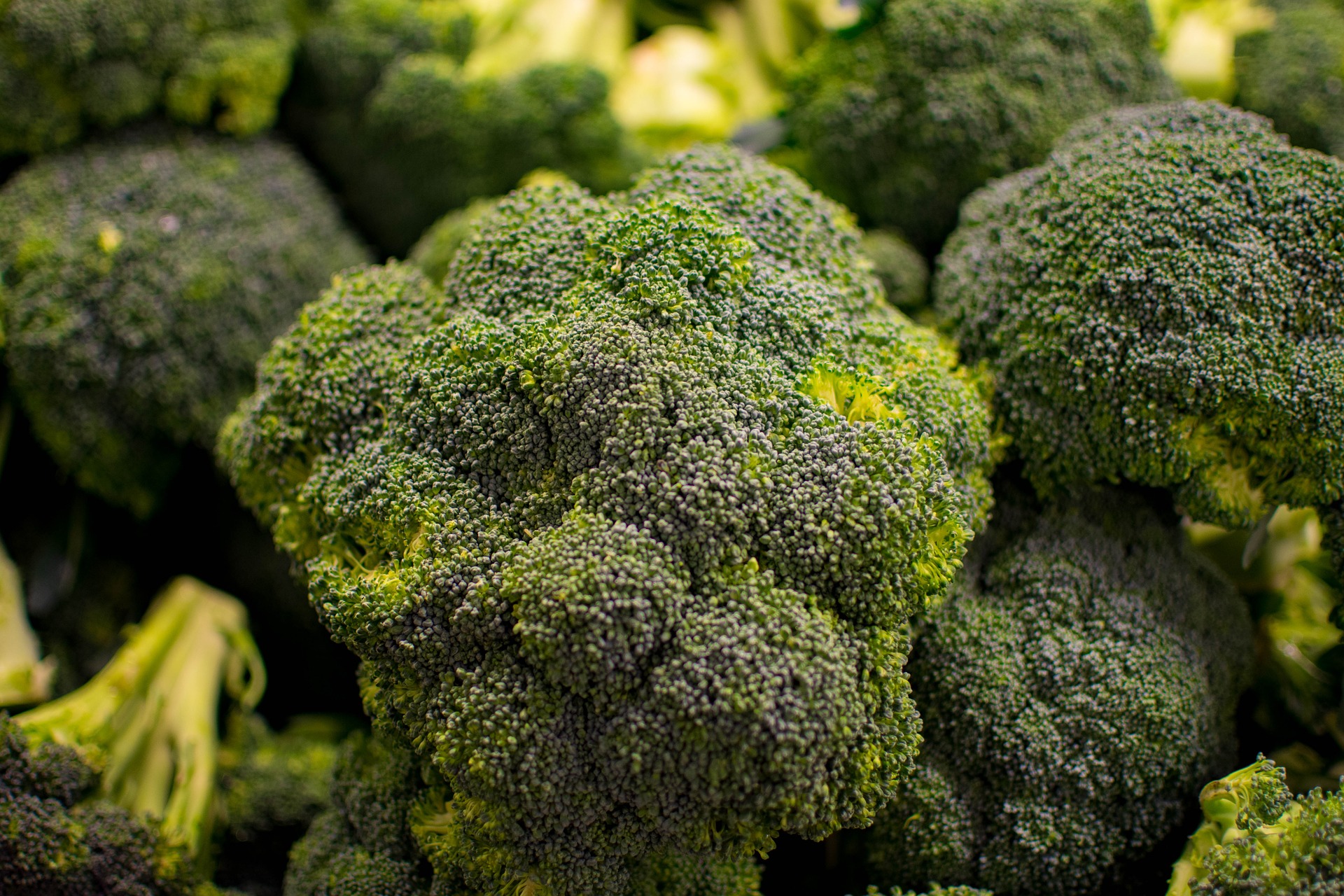 Un compus natural existent în broccoli este un puternic supresor tumoral, susţin cercetătorii israelieni