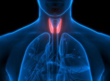 Studiu: Tulburările produse de tiroidă pot crește riscul de demență