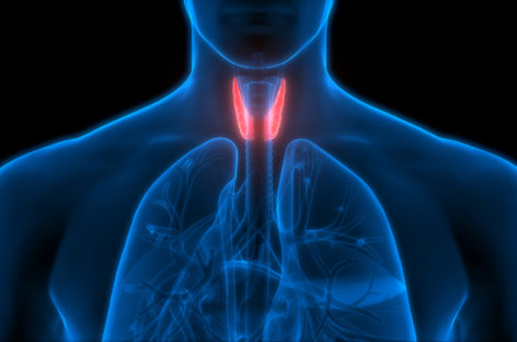 Și unele tulburări ușoare ale tiroidei pot provoca probleme cardiace severe, au descoperit oamenii de știință