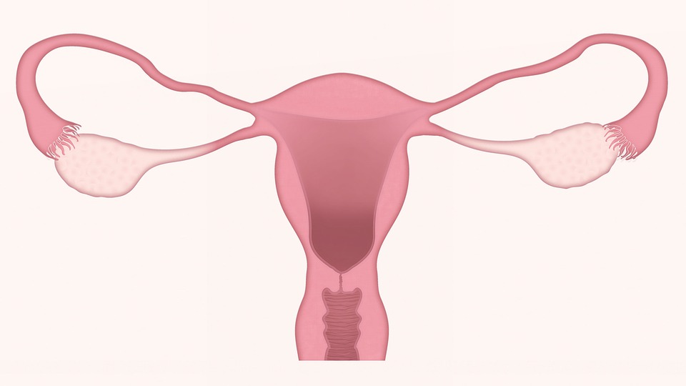 Rezultatele tratamentului cancerului ovarian, estimate cu ajutorul inteligenţei artificiale