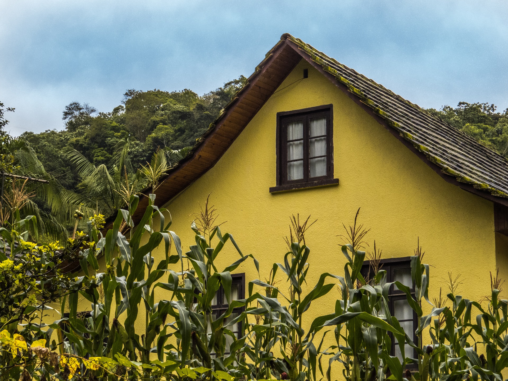 Mediul rural este deficitar din punct de vedere al acoperirii cu unităţi medicale