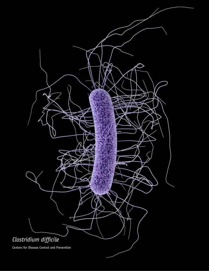 Modul în care bacteriile îşi modifică structura genetică pentru a se putea răspândi mai uşor în spitale descoperit de cercetătorii britanici