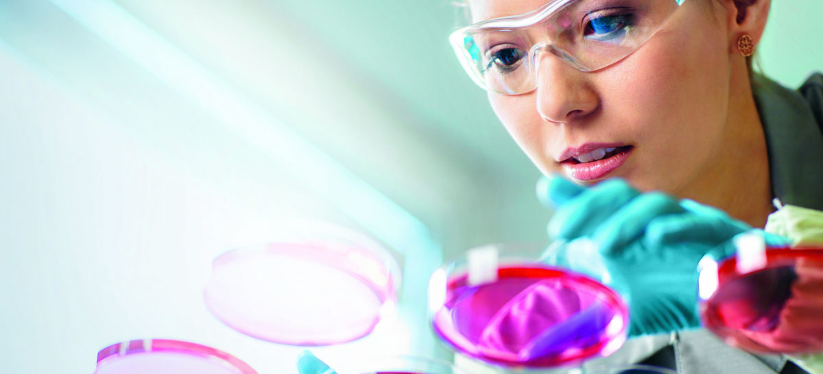 Bayer research scientist Noi ghiduri din partea Societății Europene de Cardiologie