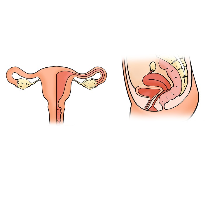 Fibromul uterin: aprope jumătate din cazuri sunt asimptomatice