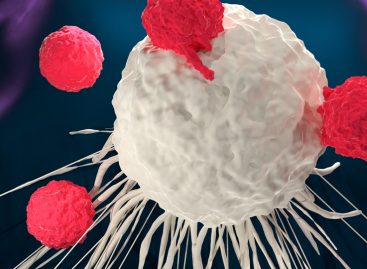 Un tip de imunoterapie sintetică administrată intravenos poate ținti tumorile greu accesibile