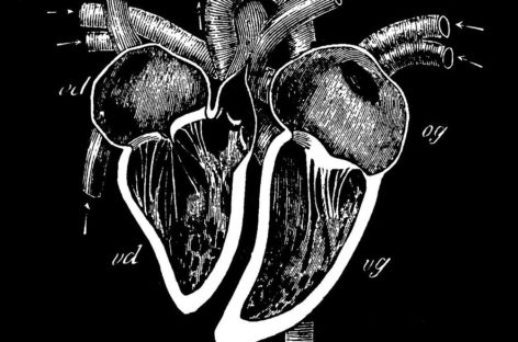 Ce recomandă cardiologii americani pentru detectarea leziunilor cardiace legate de COVID-19