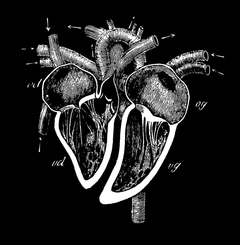 Ce recomandă cardiologii americani pentru detectarea leziunilor cardiace legate de COVID-19