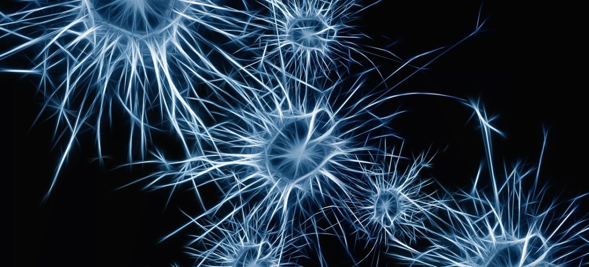 neuroni Studiu: Tumorile cerebrale formează conexiuni cu celulele sănătoase ale creierului, stimulând dezvoltarea cancerului