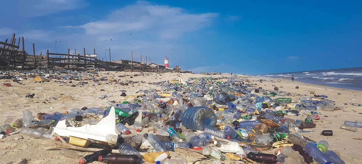 plastic deseuri Nouă tipuri de plastic, identificate în intestinele umane de către cercetătorii austrieci