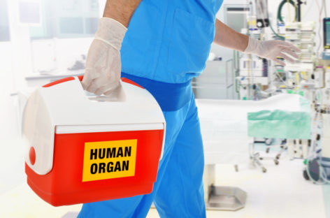 Un dispozitiv dezvoltat în Elveția poate păstra în siguranță ficatul uman timp de o săptămână între prelevare și transplant