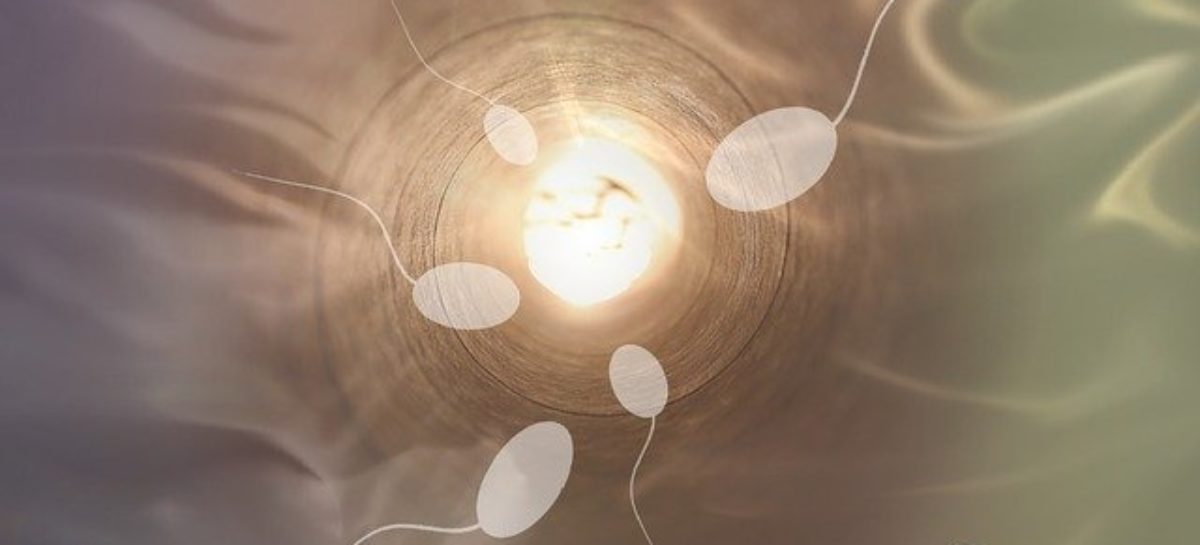 Fertilizare in vitro În jur de 50% dintre cuplurile infertile apelează la fertilizare in vitro sau iau în calcul această variantă