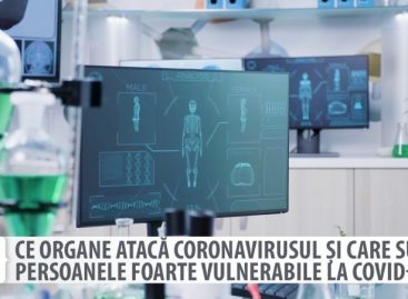 VIDEO EXCLUSIV: Ce organe atacă coronavirusul și care sunt persoanele foarte vulnerabile la Covid-19
