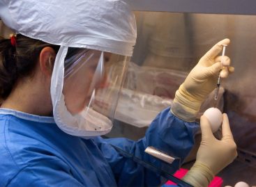 Mylan România anunță finalizarea livrărilor pentru prima tranșă de vaccin gripal tetravalent în România, pentru sezonul gripal 2020-2021
