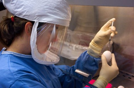 Academia de Medicină din Franța recomandă vaccinarea antigripală obligatorie a personalului medical în această toamnă