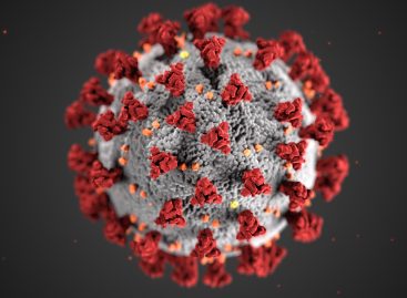 O moleculă care blochează infecția cu SARS-CoV-2, dezvoltată de cercetători danezi