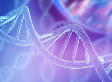 Cercetătorii au identificat primii pacienți cu mutații ale unei gene cu rol critic în diviziunea celulară