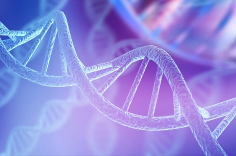 Cercetători americani au reuşit pentru prima dată să utilizeze tehnologia CRISPR-Cas9 pentru ţintirea celulelor adipoase