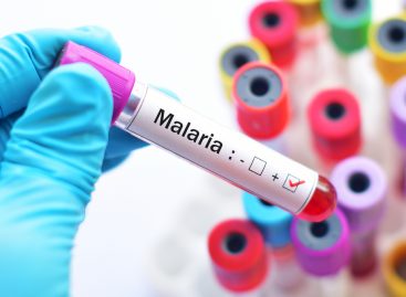 Nouă țintă promițătoare pentru tratamentele antimalarie, identificată de cercetători