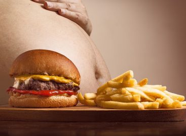 Studiu: Rolul genei Brd4 în obezitatea indusă de dietă