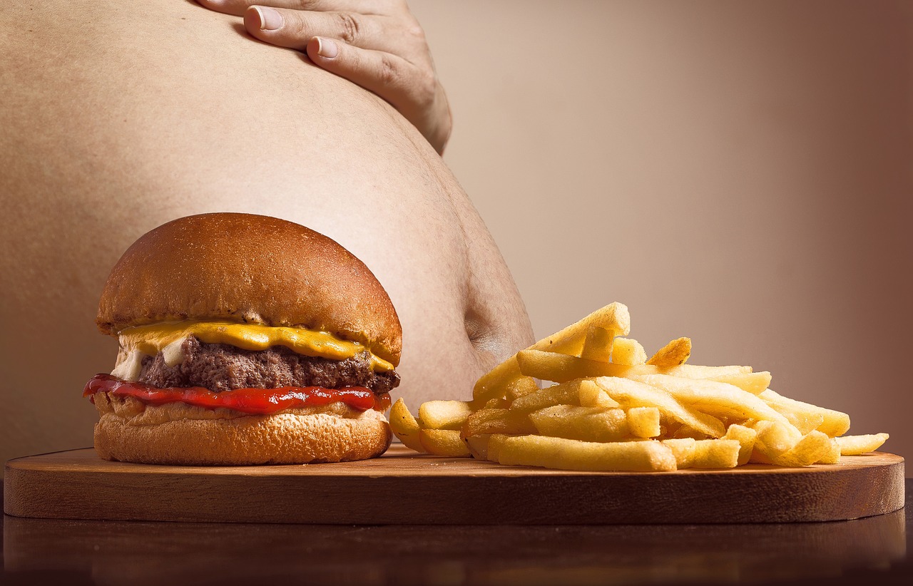 Studiu: Rolul genei Brd4 în obezitatea indusă de dietă