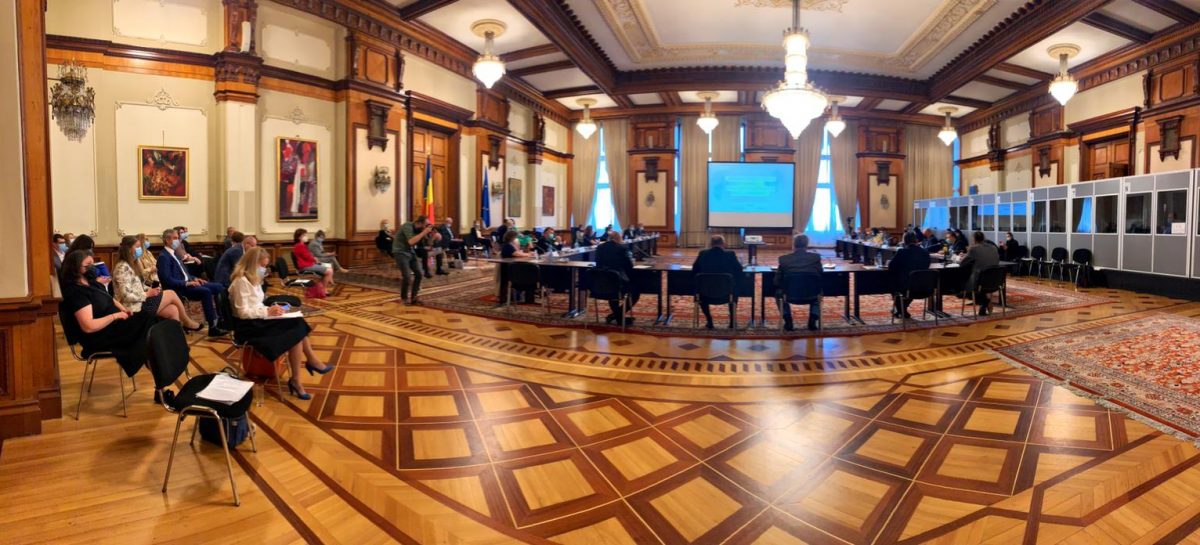 Parlament lege suplimente alimentare studiu farmacisti Conf. univ. dr. Diana Păun: Legea suplimentelor alimentare să fie o lege de calitate