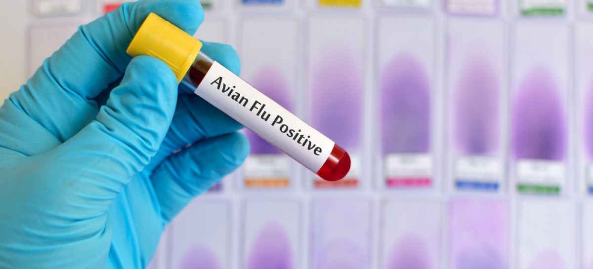 Primul caz de transmitere la om a gripei aviare H10N3 raportat pe plan mondial
