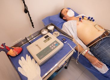 Mecanisme patologice care stau la baza unor afecțiuni ale inimii, descifrate de cercetători