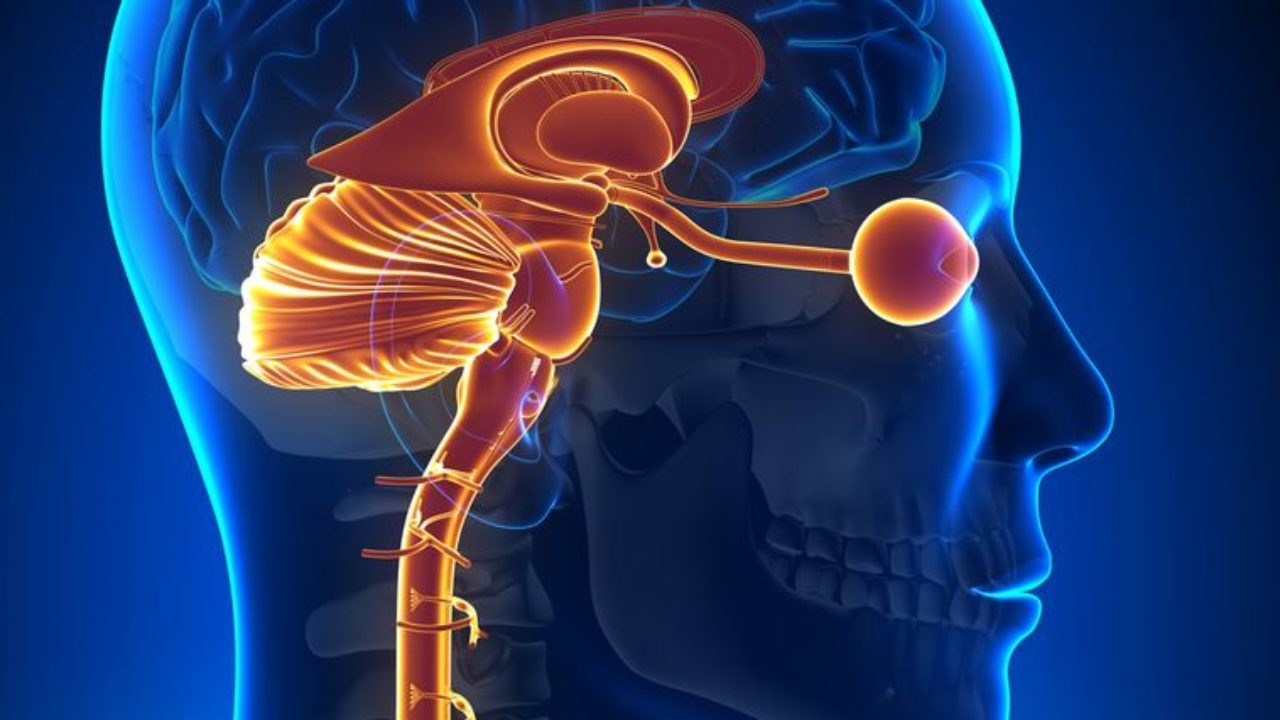 Un tratament cu anticorpi poate îmbunătăţi simptomele neuromielitei optice