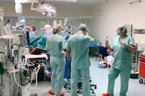 Protocol pentru transplantul de organe de la porc la om, elaborat în SUA după mai multe proceduri experimentale de xenotransplant cardiac