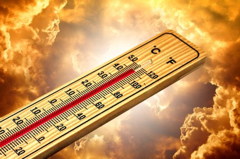 Schimbările climatice pun în pericol siguranţa alimentelor şi cresc riscul toxiinfecţiilor alimentare