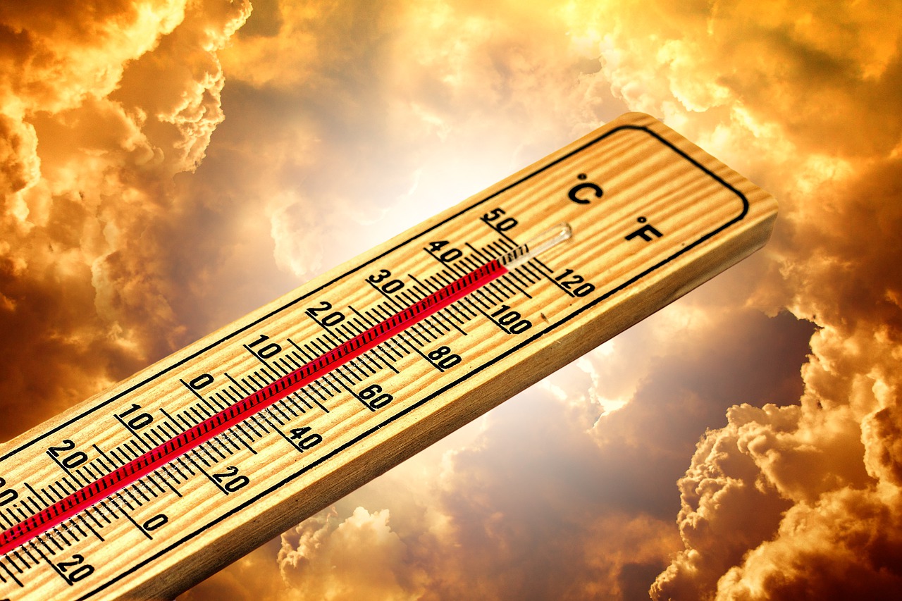 OMS: Schimbările climatice vor cauza aproximativ 250.000 de decese suplimentare pe an