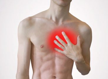 Un mecanism de regenerare a țesutului cardiac, descoperit de cercetători