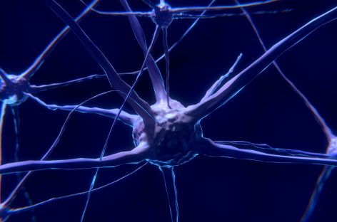 Un mecanism nou-identificat ajută la o mai bună înţelegere a bolilor neurodegenerative