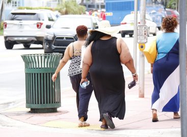 Noi dovezi că obezitatea ar putea fi o tulburare de neurodezvoltare