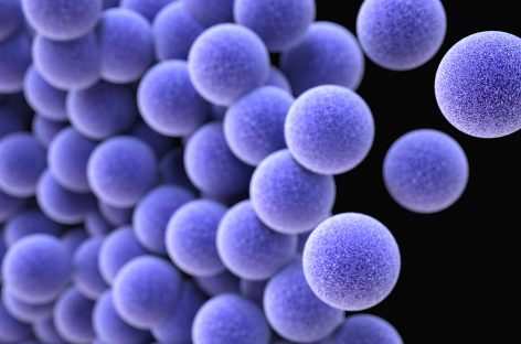 A fost descoperit un compus care distruge superbacteria MRSA