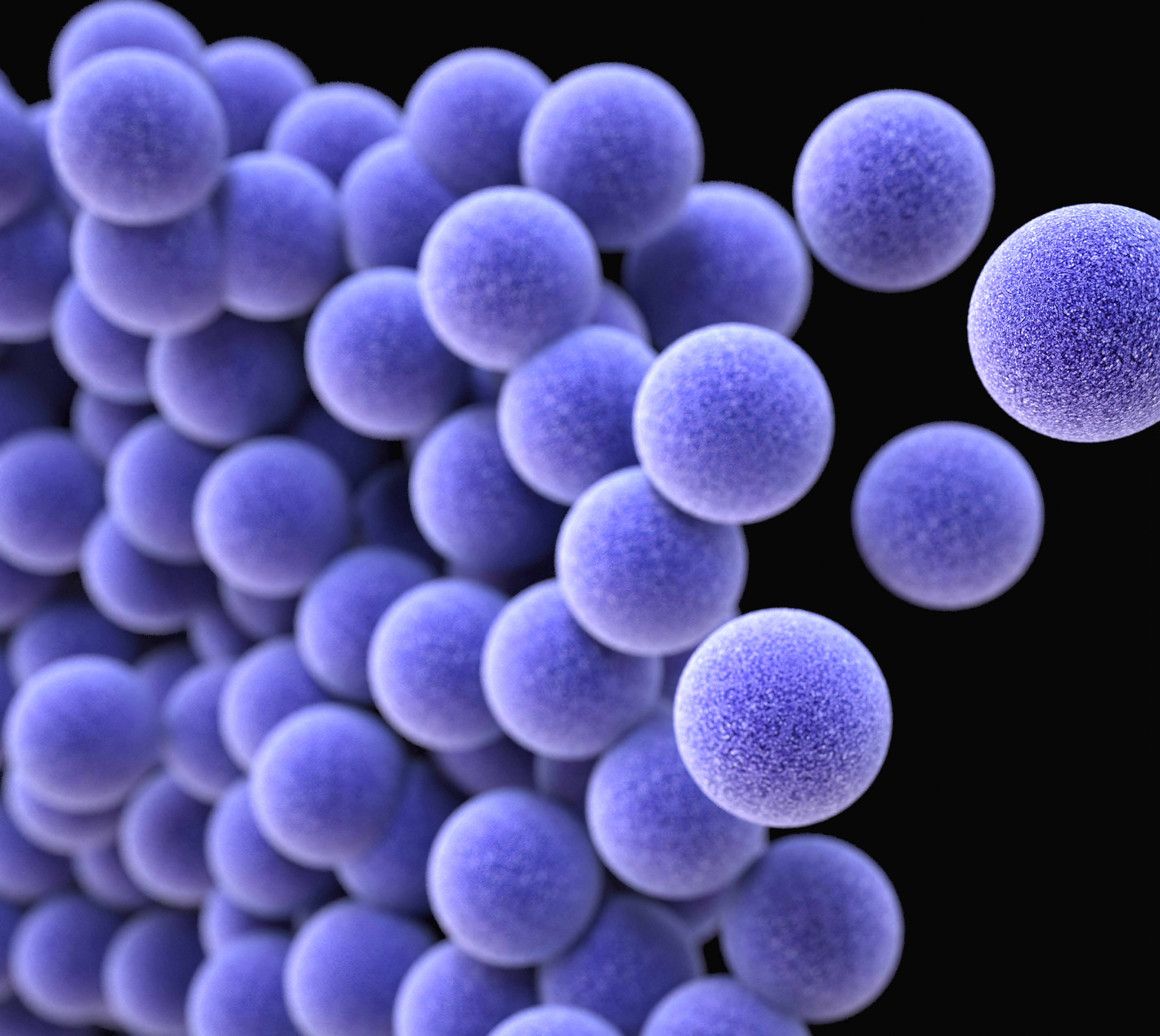 A fost descoperit un compus care distruge superbacteria MRSA